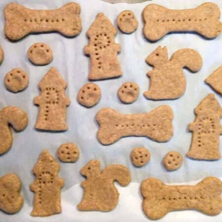 Dog treats in various shapes on parchment paper