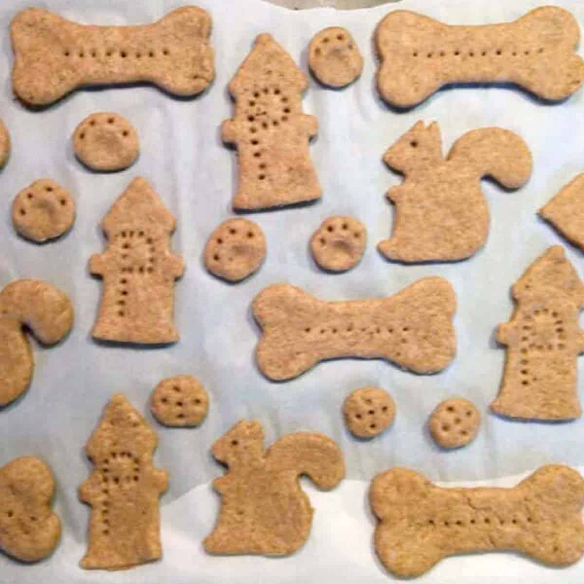 Snapshot of Dog Treats Made With Banana For Anxiety