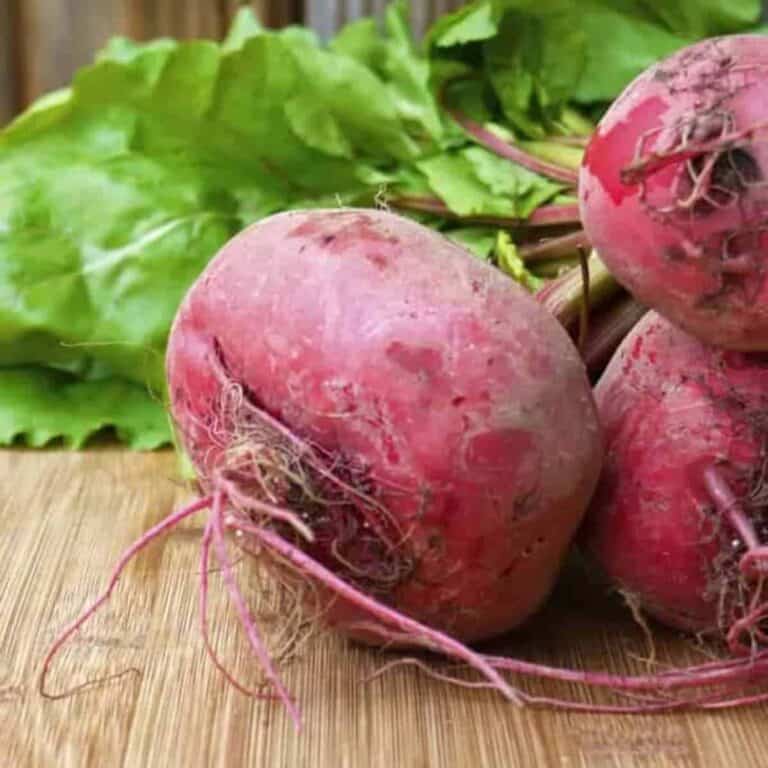 How to Cook and Prepare Beets