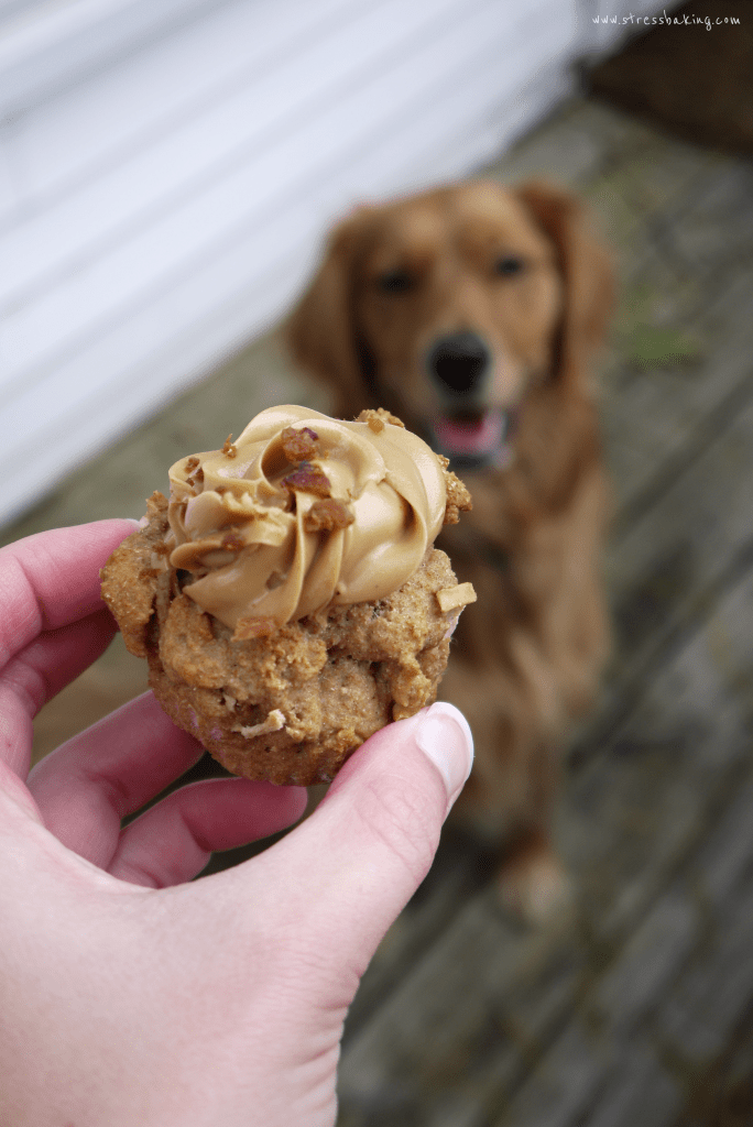 Apple Pupcakes: A special treat your dog will love that is DEFINITELY Penny Approved! Chunks of fresh apples, creamy peanut butter and bacon crumbles will make your furbaby as happy as Penny. | stressbaking.com