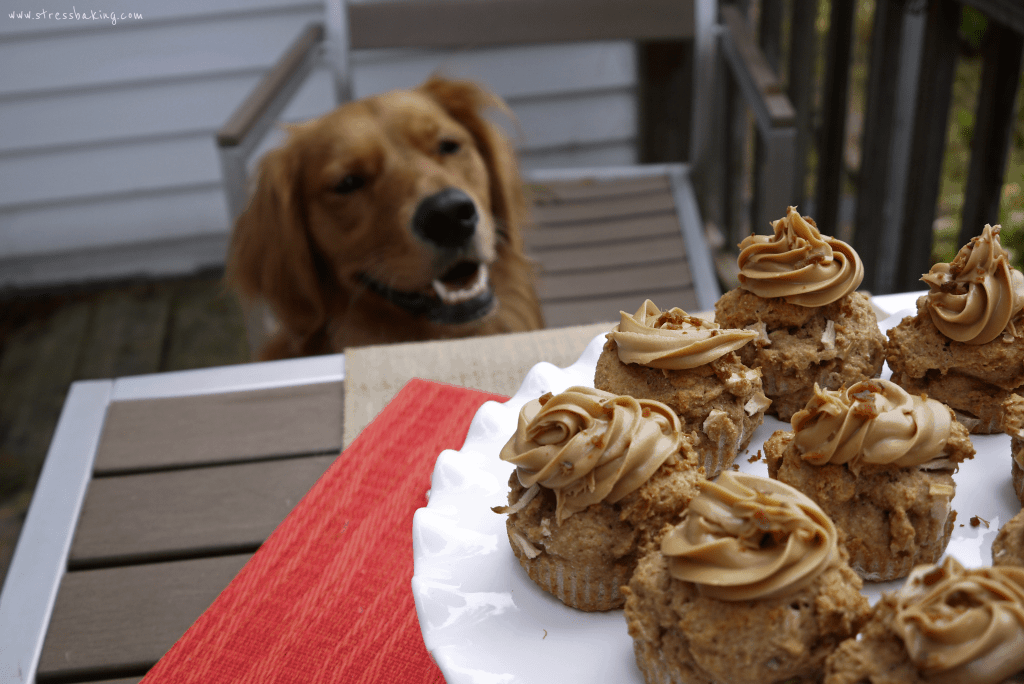 Apple Pupcakes: A special treat your dog will love that is DEFINITELY Penny Approved! Chunks of fresh apples, creamy peanut butter and bacon crumbles will make your furbaby as happy as Penny. | stressbaking.com