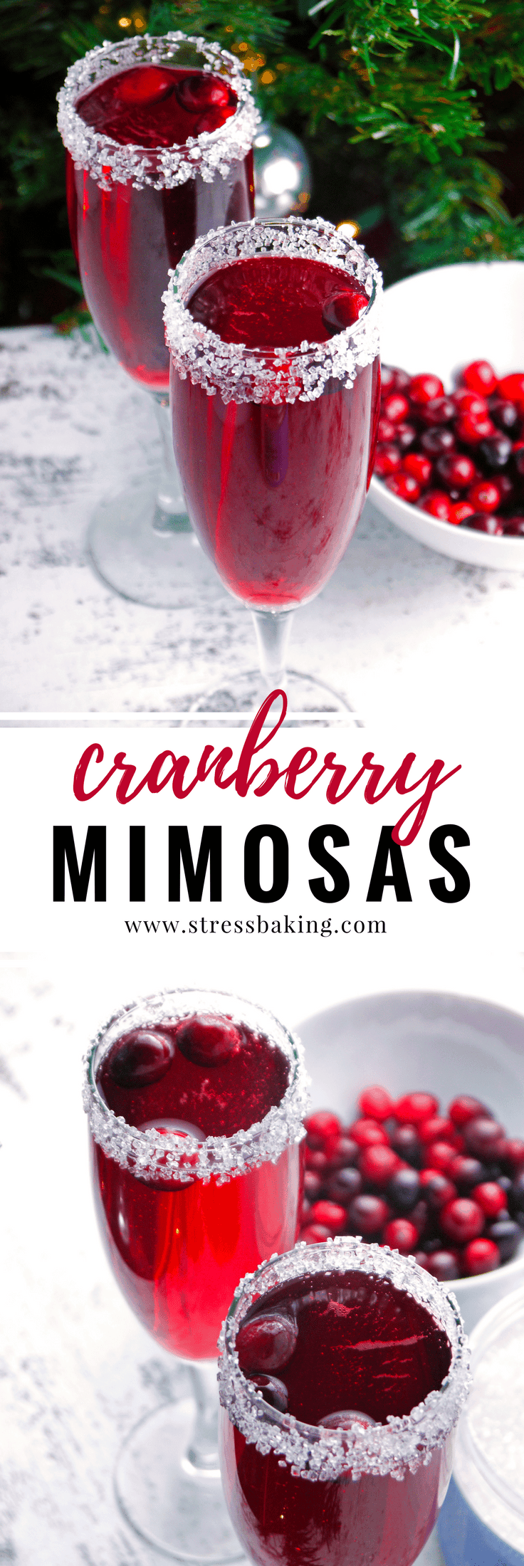 Cranberry Mimosas: A cranberry lover's version of the standard mimosa. Tart cranberries pair perfectly with a sugar-rimmed glass and sparkling champagne bubbles! The perfect holiday cocktail or Christmas cocktail. | stressbaking.com #stressbaking #holidays #christmas #thanksgiving #newyears #cranberries #drinks #cocktail