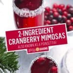 Cranberry Mimosas | Stress Baking