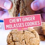 Chewy Ginger Molasses Cookies | Stress Baking