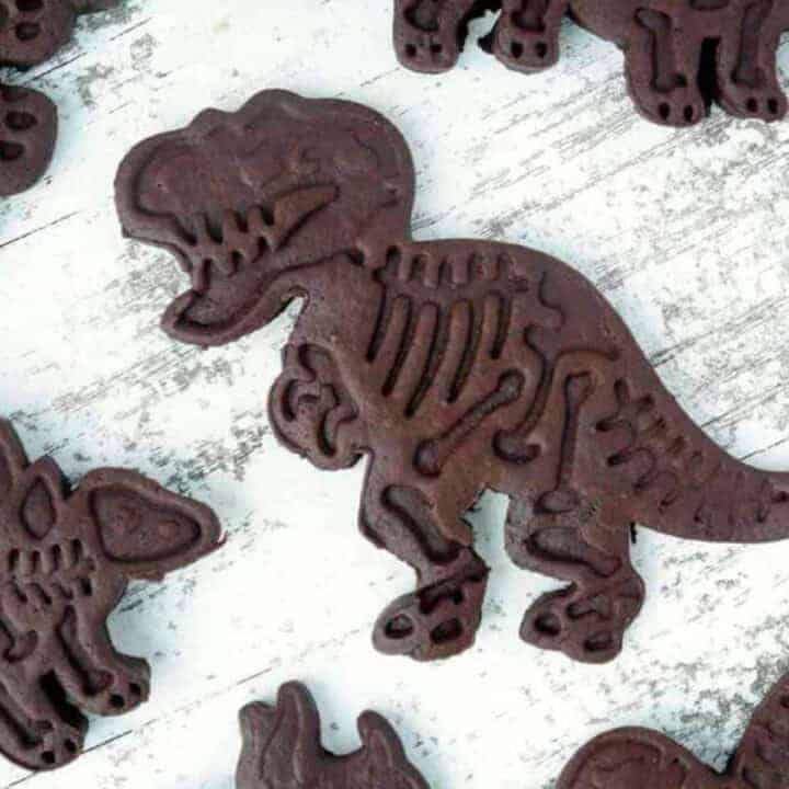 Chocolate sugar cookie cutout in the shape of a dinosaur
