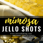Mimosa Jello Shots: Your favorite brunch cocktail turned dessert! Bubbly champagne and fresh orange juice combine with the old college favorite, jello shots, for a classy 21+ party snack. | stressbaking.com