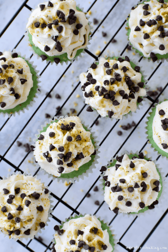 Overhead shot of pistachio cupcakes with cannoli frosting topped with mini chocolate chips