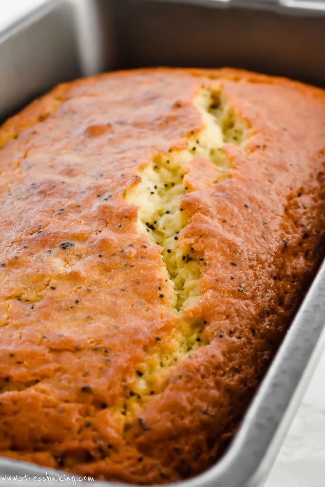 Lemon Poppy Seed Loaf: A tangy, sweet, moist loaf loaded with lemon flavor and dotted with crunchy poppy seeds! | stressbaking.com @stressbaking #stressbaking.com #lemon #spring #lemonpoppyseed