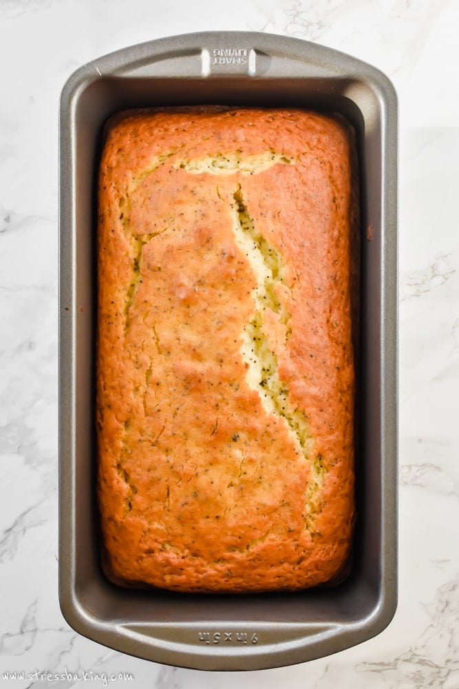 Lemon Poppy Seed Loaf: A tangy, sweet, moist loaf loaded with lemon flavor and dotted with crunchy poppy seeds! | stressbaking.com @stressbaking #stressbaking.com #lemon #spring #lemonpoppyseed