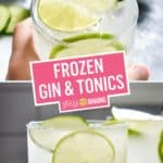 Frozen Gin & Tonic | Stress Baking
