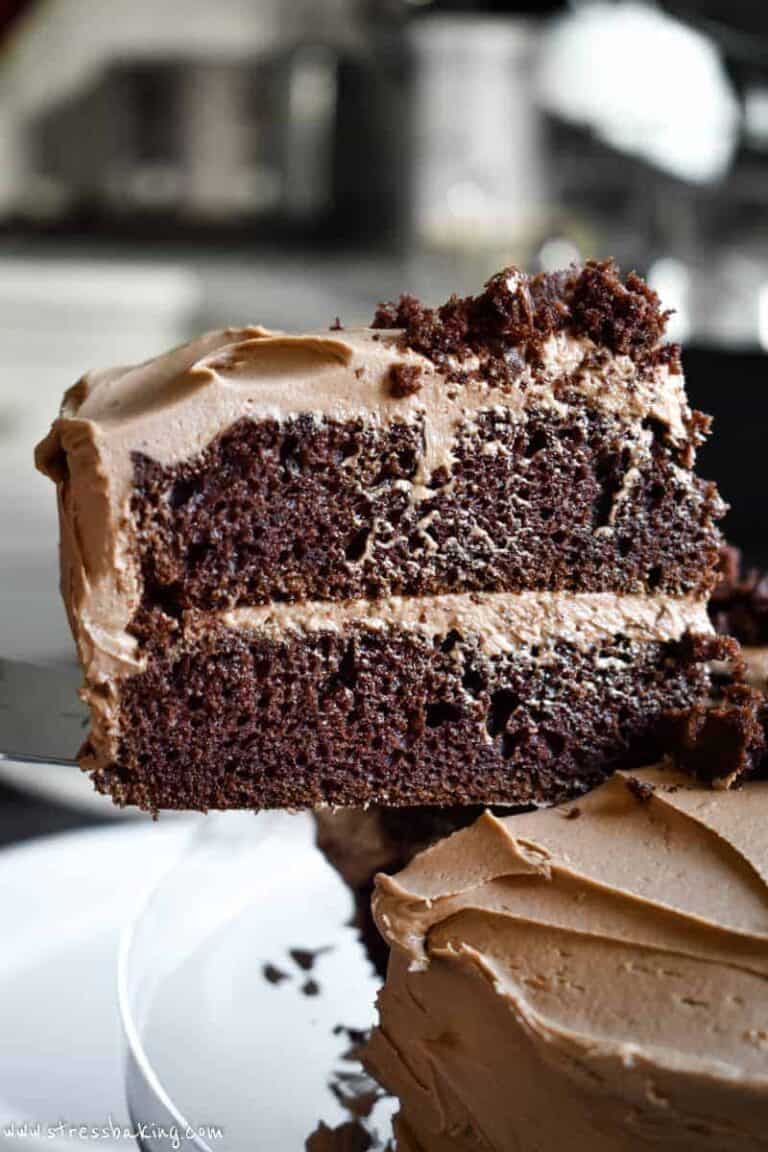 Double Chocolate Layer Cake (Chocolate Mayonnaise Cake) | Stress Baking