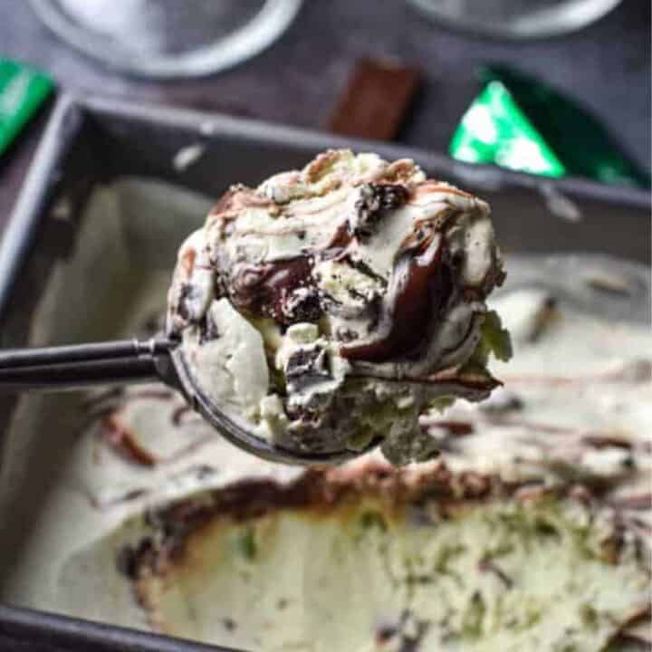 A big scoop of mint chocolate chip ice cream loaded with add ins