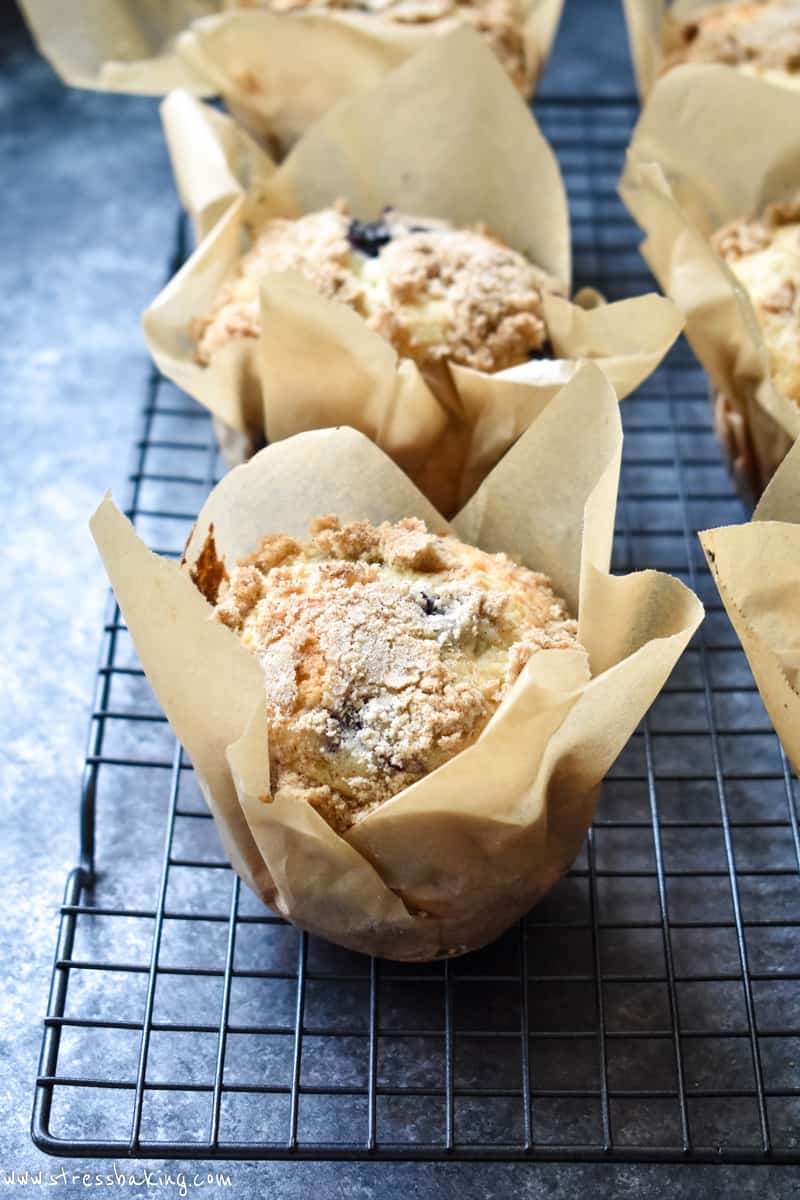 Blueberry muffin in a homemade parchment paper muffin liner