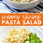 Creamy Shrimp Pasta Salad Pinterest image