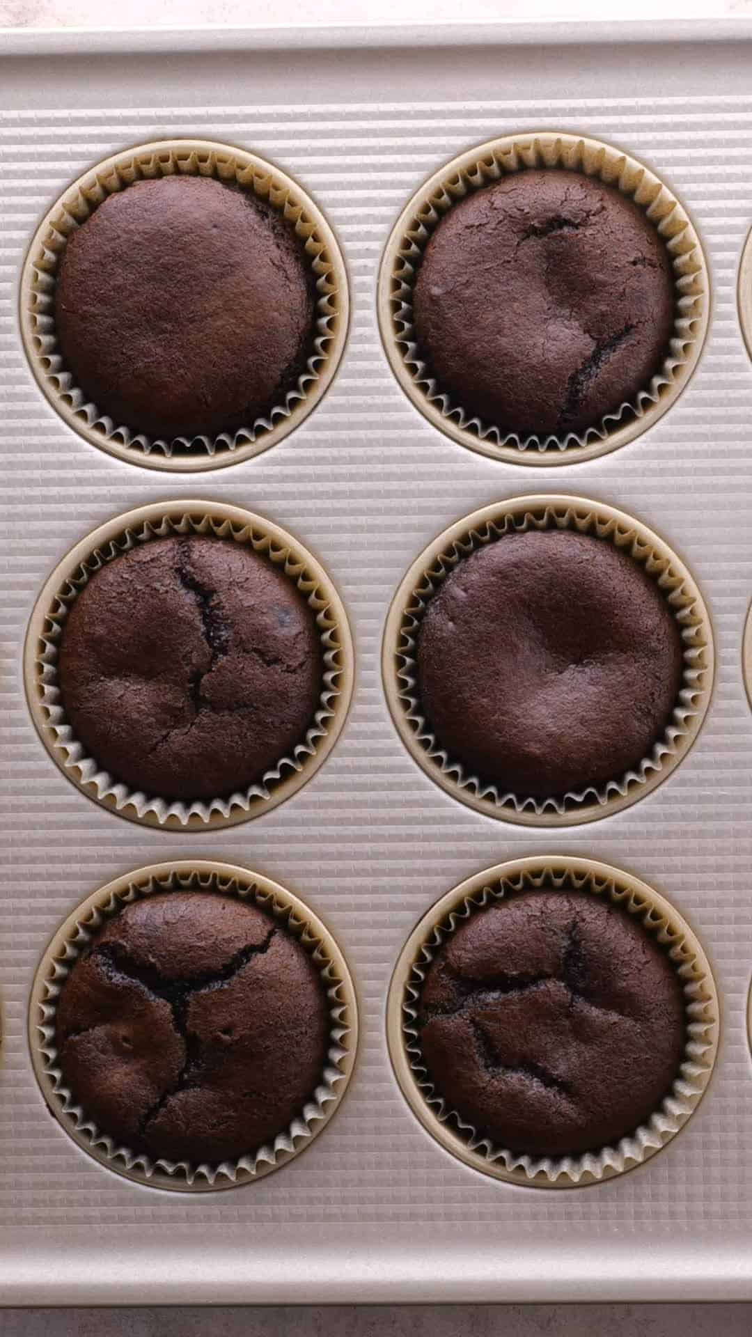 Chocolate cupcakes with crackly tops in a muffin pan